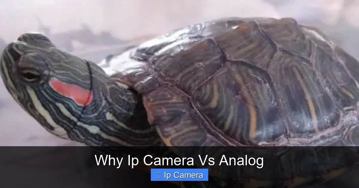 Why Ip Camera Vs Analog