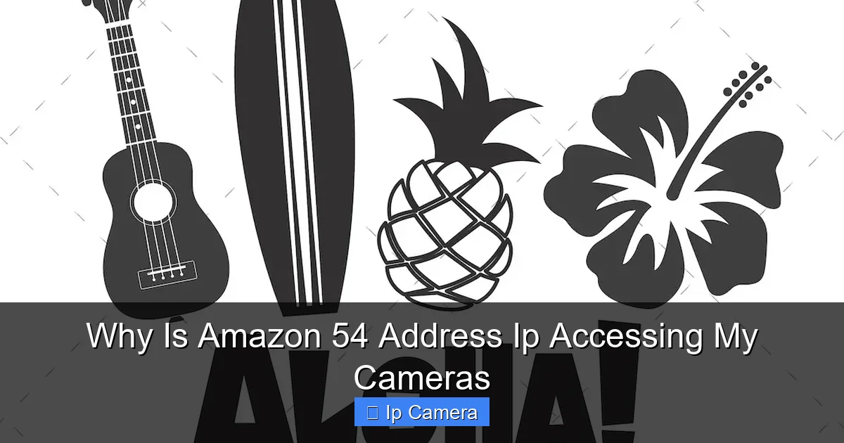 Why Is Amazon 54 Address Ip Accessing My Cameras