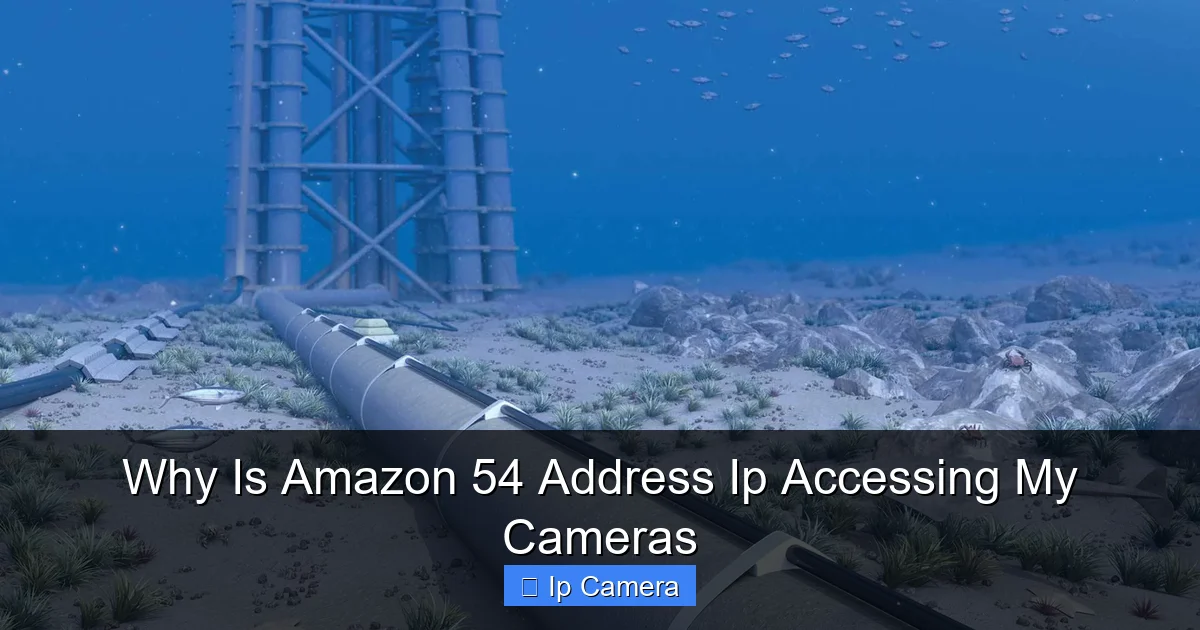 Why Is Amazon 54 Address Ip Accessing My Cameras