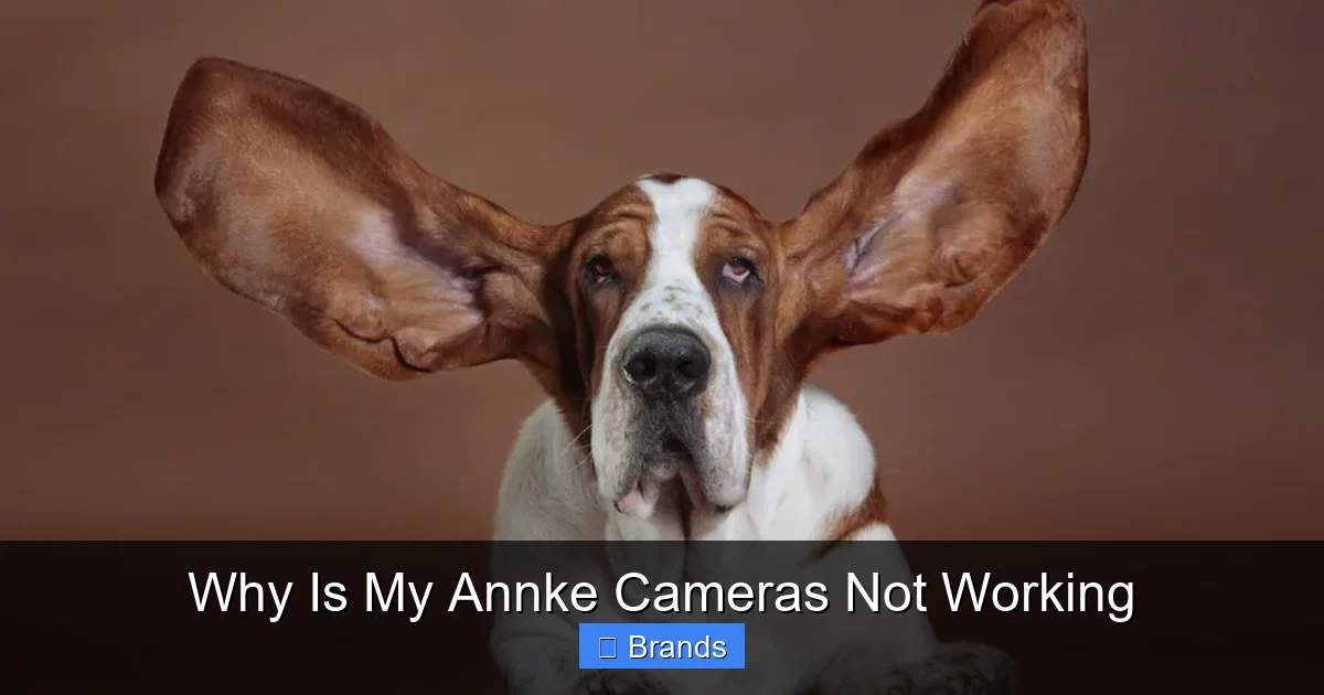 Why Is My Annke Cameras Not Working