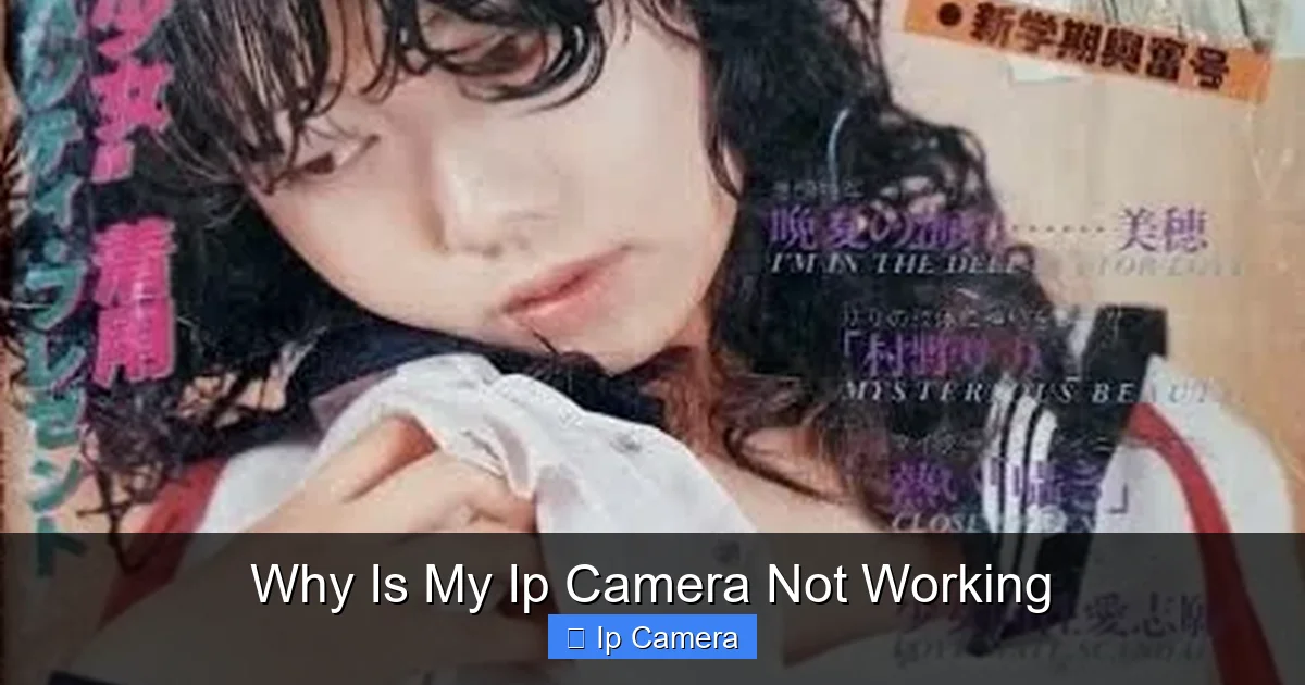 Why Is My Ip Camera Not Working