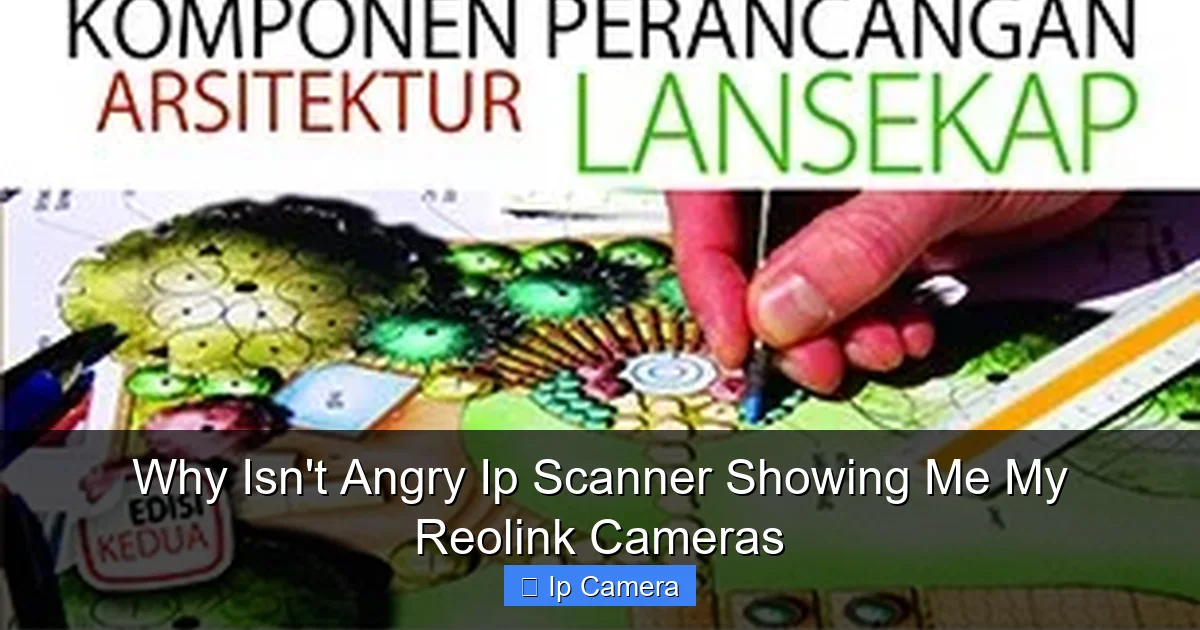 Why Isn't Angry Ip Scanner Showing Me My Reolink Cameras