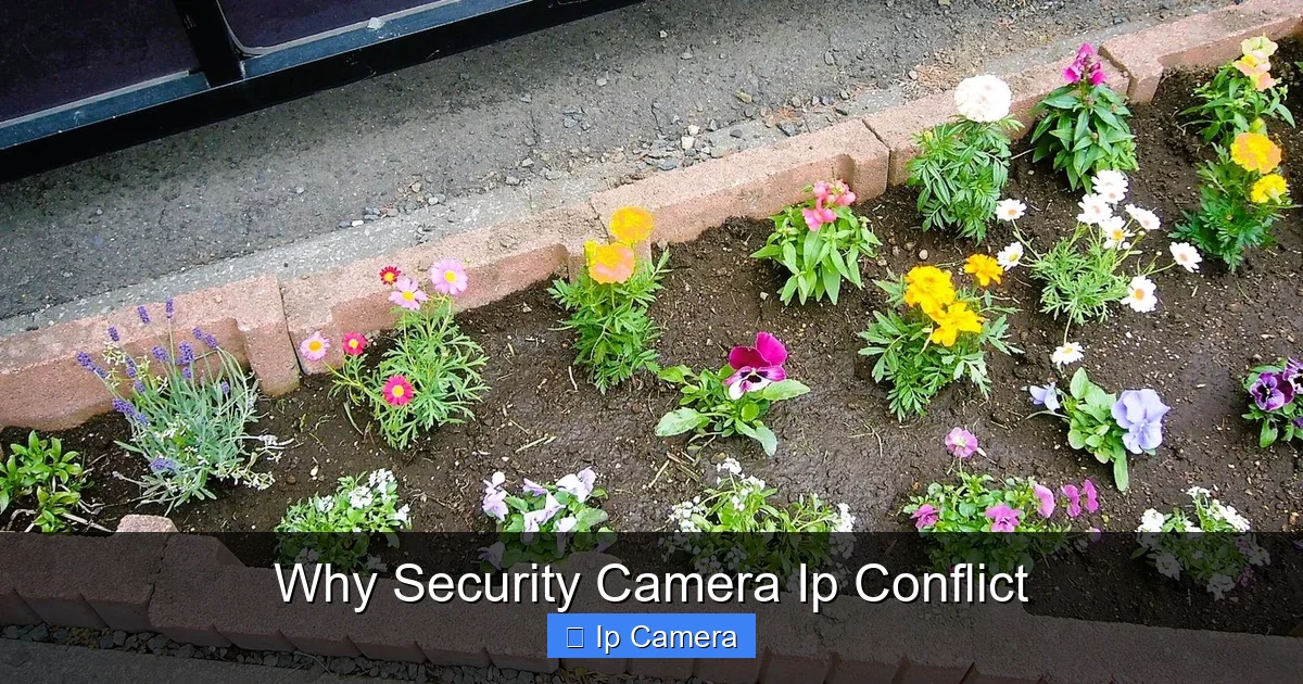 Why Security Camera Ip Conflict