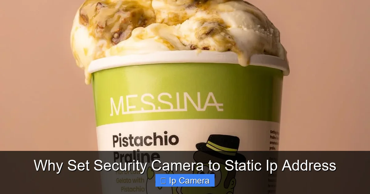 Why Set Security Camera to Static Ip Address