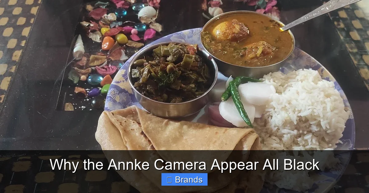 Why the Annke Camera Appear All Black