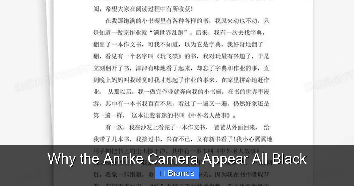 Why the Annke Camera Appear All Black