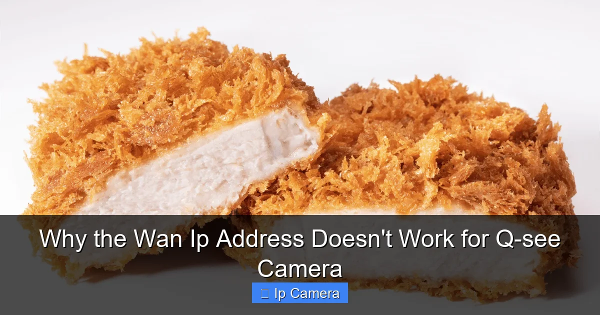 Why the Wan Ip Address Doesn't Work for Q-see Camera