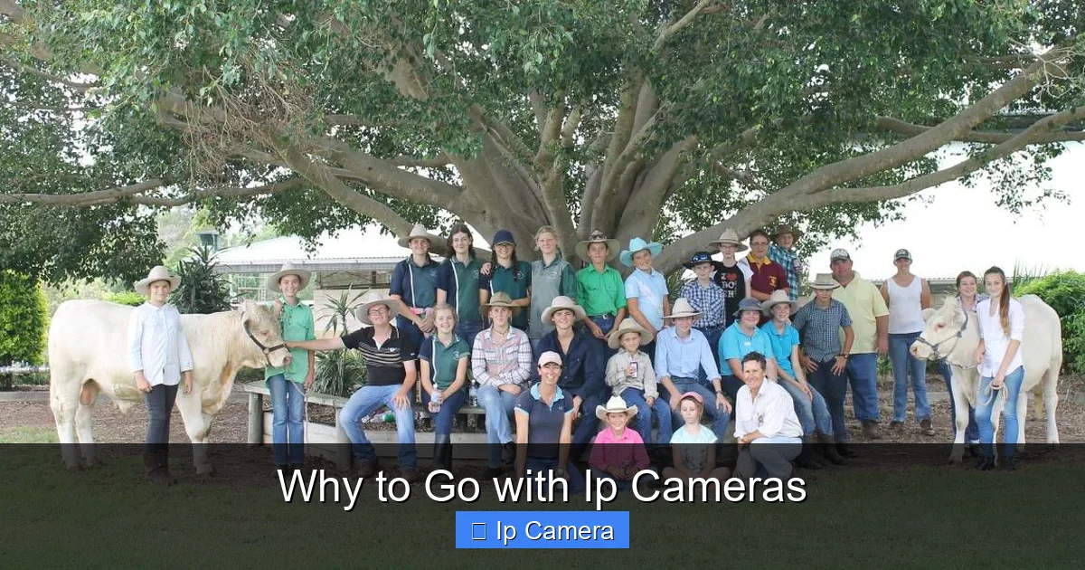 Why to Go with Ip Cameras
