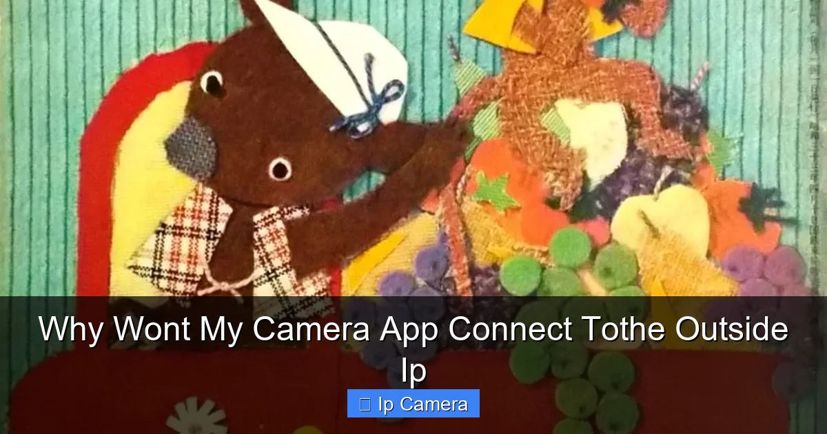 Why Wont My Camera App Connect Tothe Outside Ip