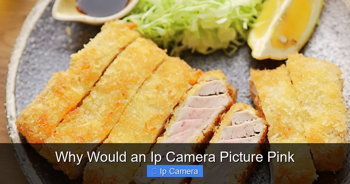 Why Would an Ip Camera Picture Pink