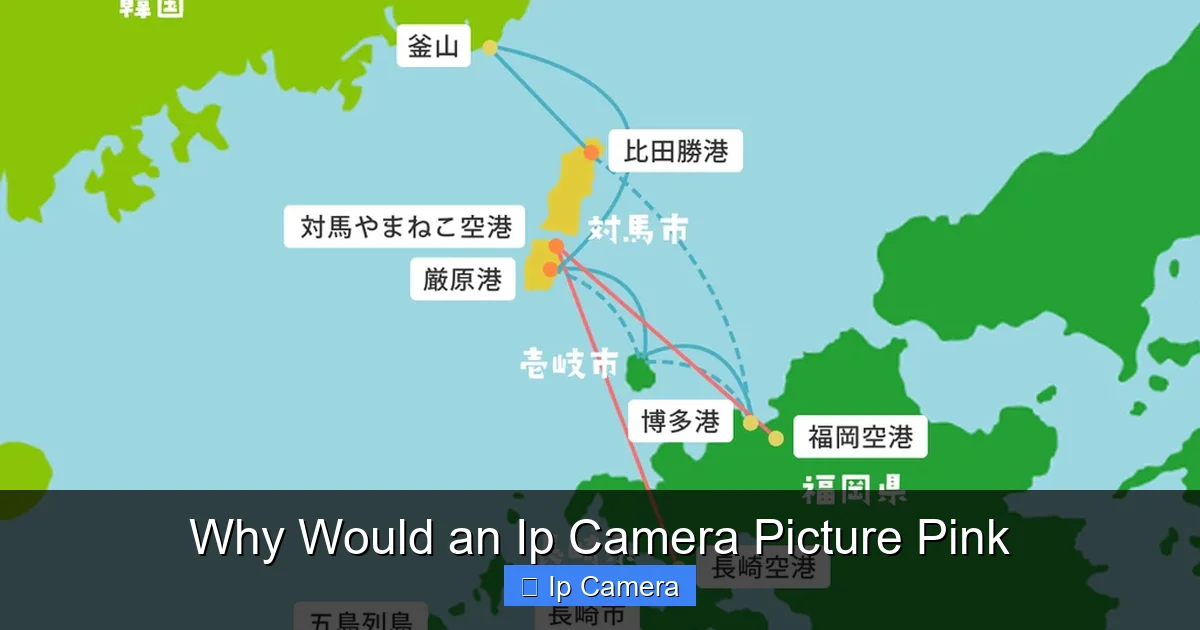 Why Would an Ip Camera Picture Pink