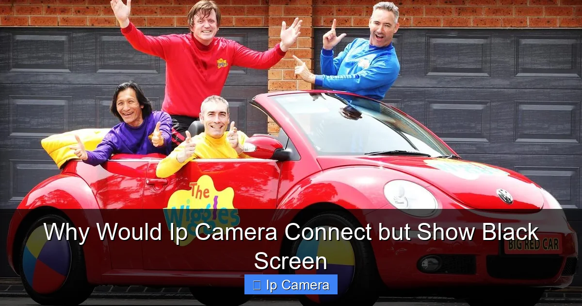 Why Would Ip Camera Connect but Show Black Screen