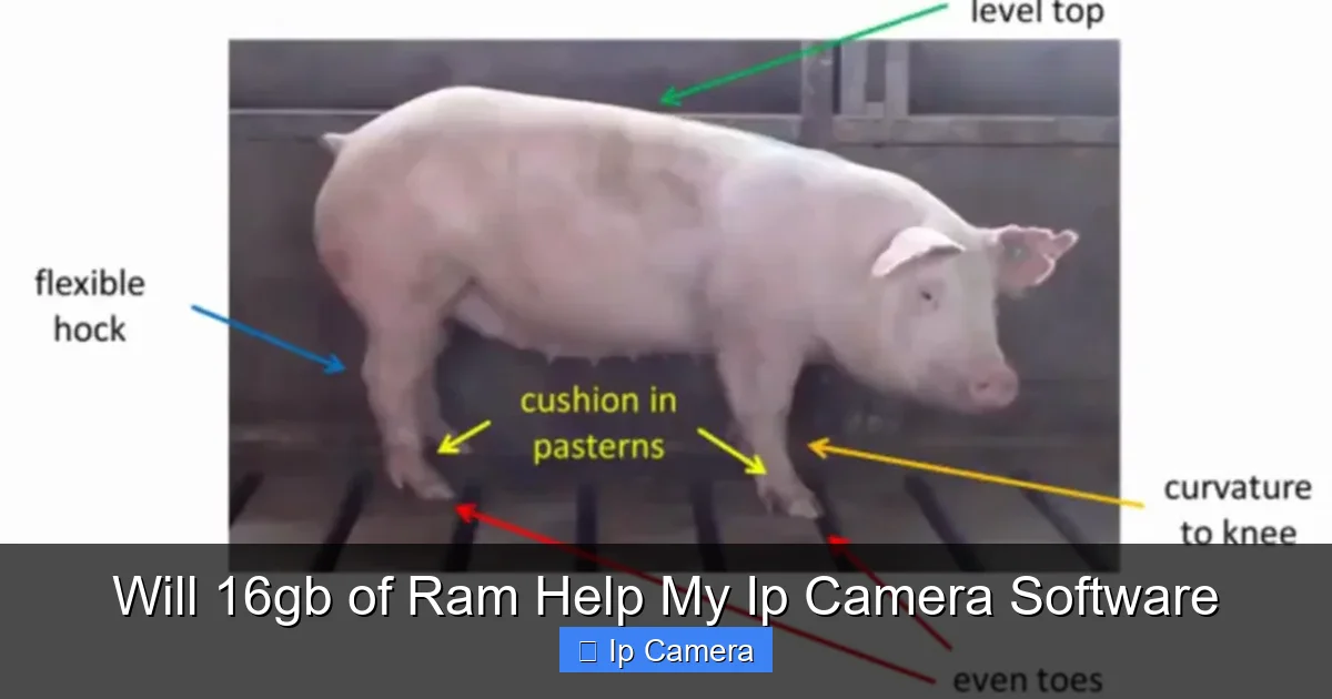 Will 16gb of Ram Help My Ip Camera Software