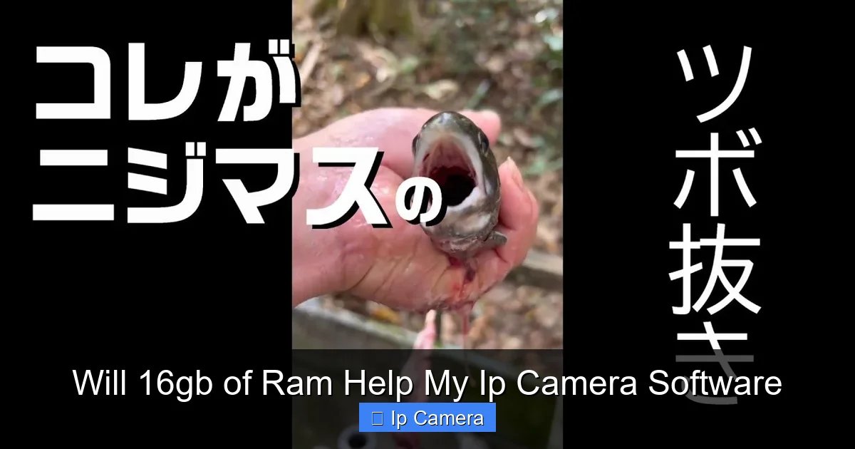 Will 16gb of Ram Help My Ip Camera Software