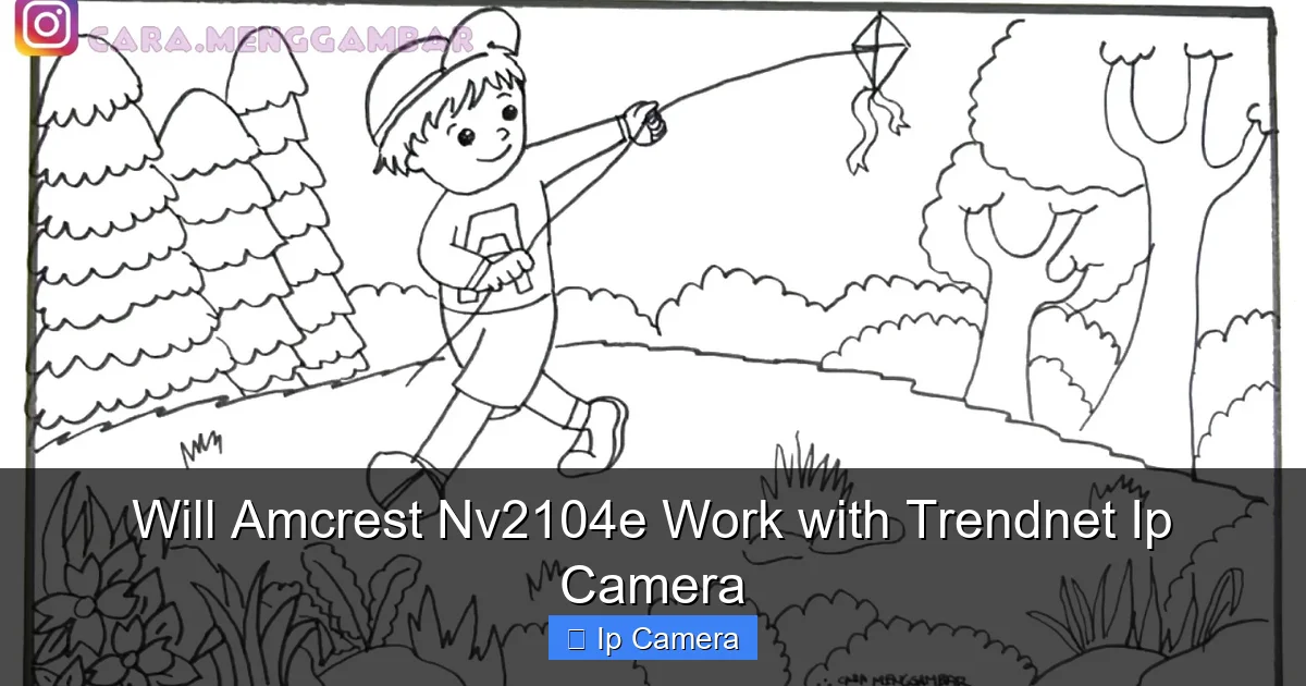 Will Amcrest Nv2104e Work with Trendnet Ip Camera