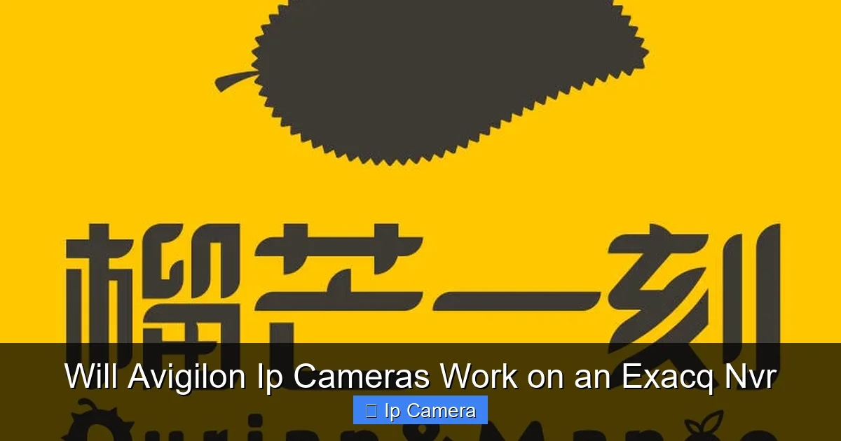 Will Avigilon Ip Cameras Work on an Exacq Nvr