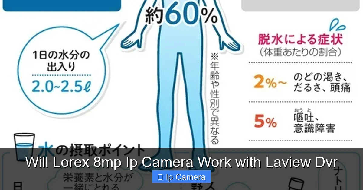 Will Lorex 8mp Ip Camera Work with Laview Dvr