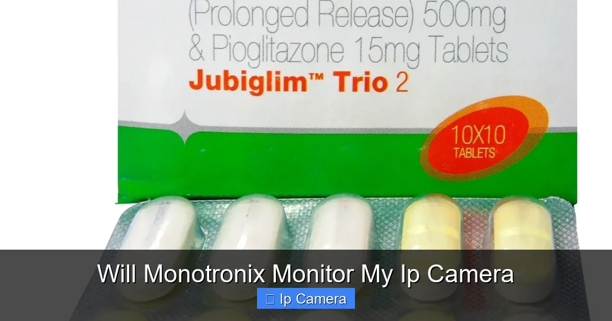 Will Monotronix Monitor My Ip Camera