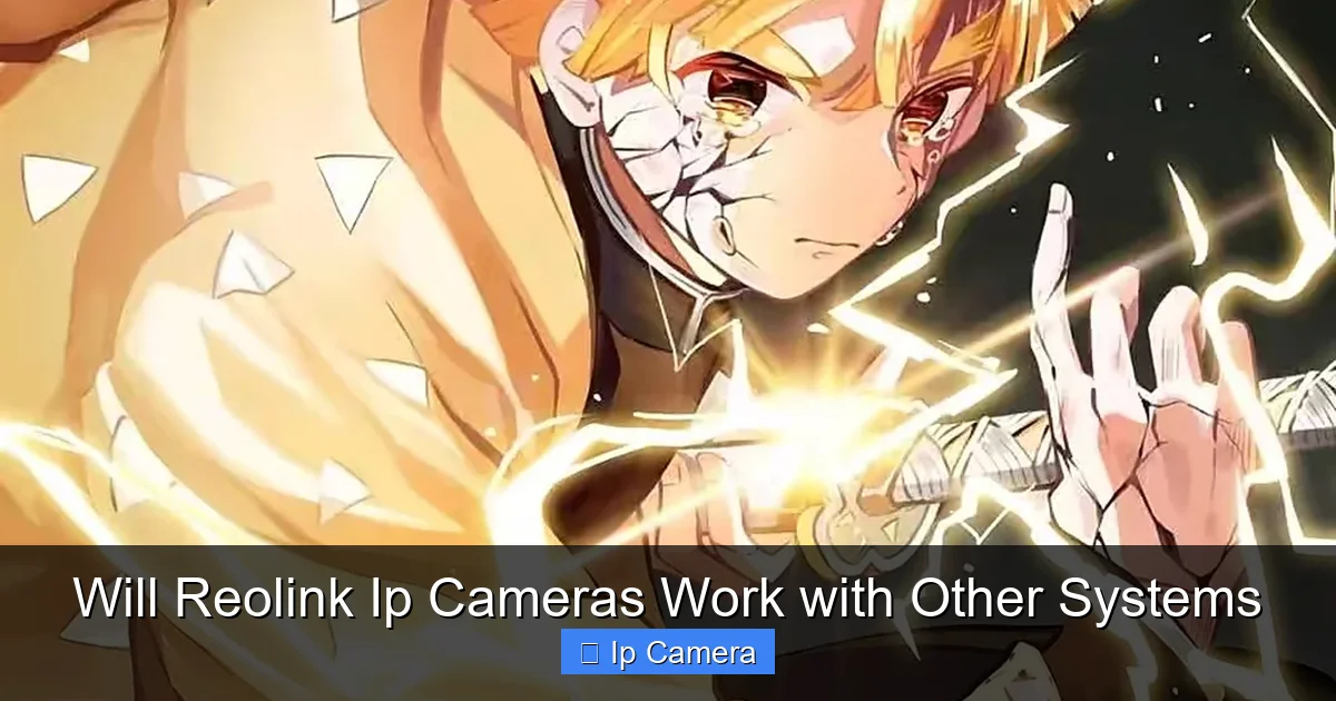 Will Reolink Ip Cameras Work with Other Systems