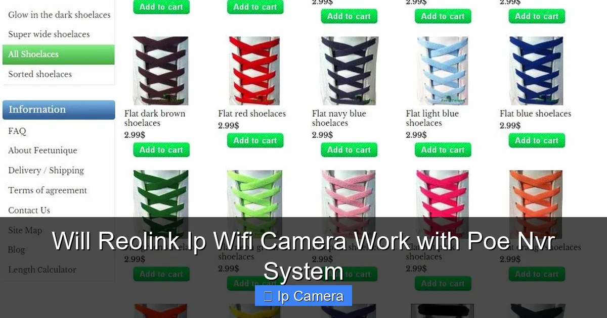 Will Reolink Ip Wifi Camera Work with Poe Nvr System