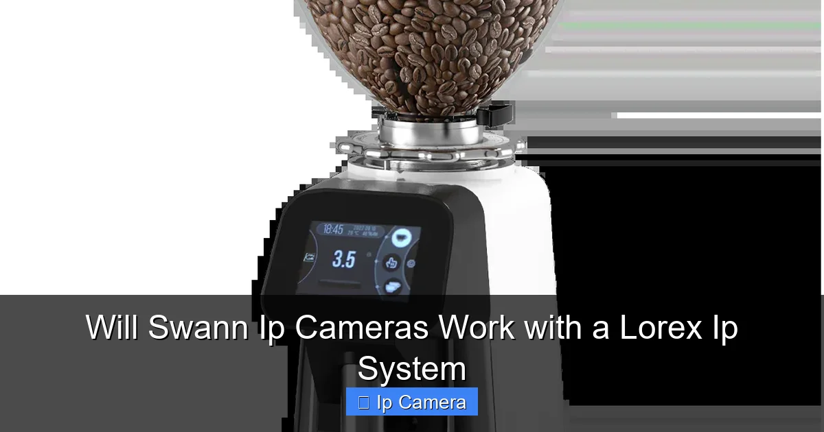 Will Swann Ip Cameras Work with a Lorex Ip System