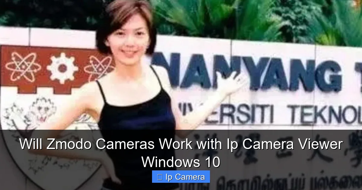 Will Zmodo Cameras Work with Ip Camera Viewer Windows 10