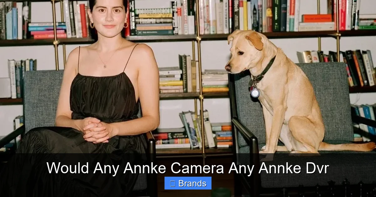 Would Any Annke Camera Any Annke Dvr