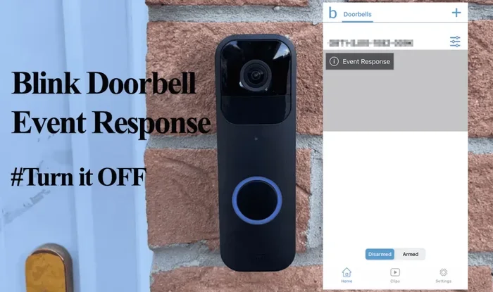 Blink Doorbell Not Ringing on Phone